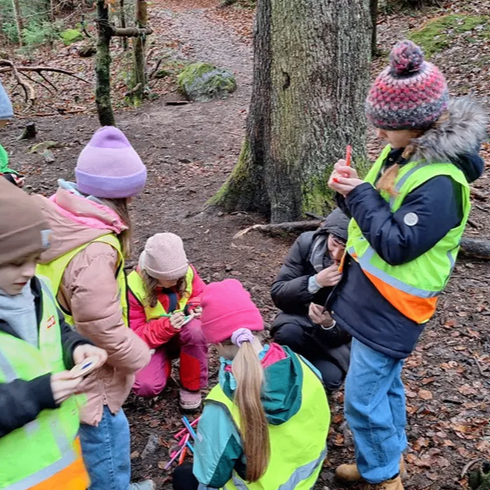 Eine Gruppe von Kindern und Erwachsenen befindet sich in einem Wald, trägt Warnwesten und Mützen. Sie scheinen zu lernen oder zu erkunden. Ein Kind hält einen roten Marker.