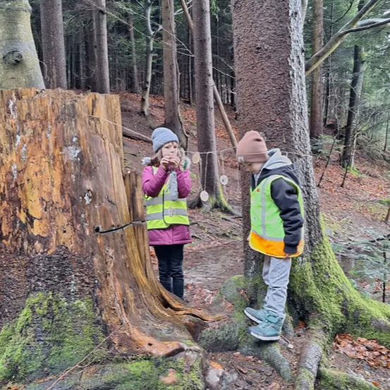 Zwei Kinder stehen in einem Wald und untersuchen einen Baumstumpf mit einem Loch darin. Sie tragen beide Warnwesten.