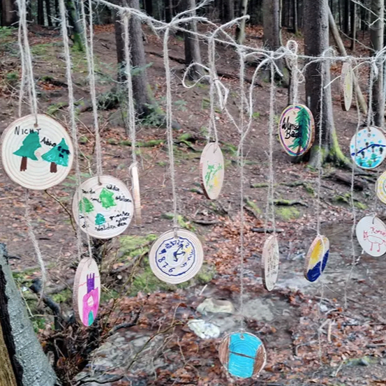 Eine Sammlung von Holzscheiben mit Zeichnungen hängt an einem Seil in einem Wald, umgeben von gefallenen Blättern und Bäumen.