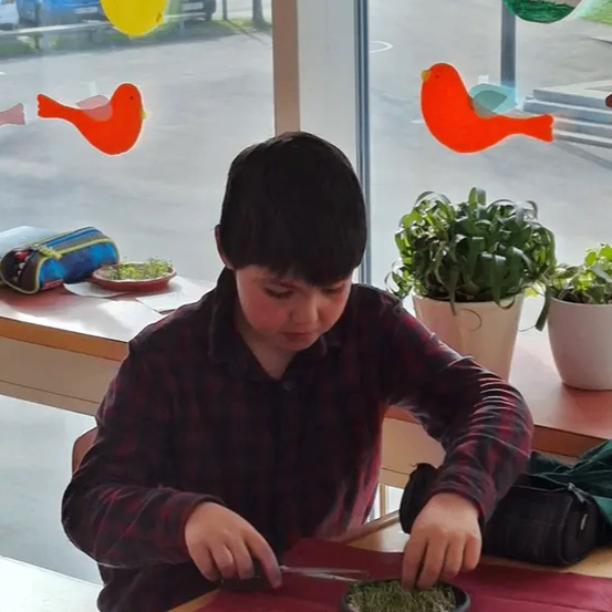 Ein Junge schneidet Gras mit einer Schere an einem Tisch. Eine Topfpflanze ist in der Nähe. Vögel hängen am Fenster. Autos sind draußen geparkt.