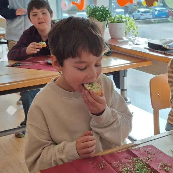 Drei junge Jungen essen Sandwiches in einem Klassenzimmer mit Pflanzen und Dekorationen am Fenster.