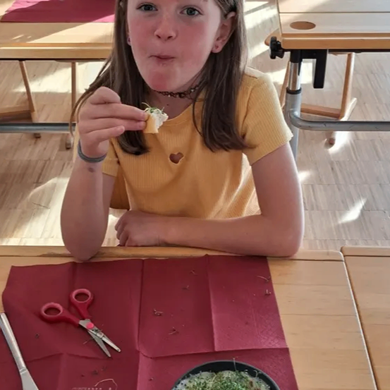 Ein junges Mädchen in einem gelben T-Shirt isst ein Stück Brot mit Sprossen im Klassenzimmer.