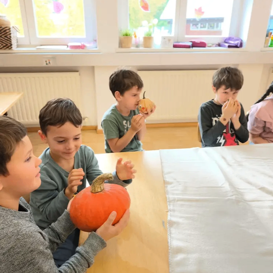 Vier Jungen sitzen um einen Tisch in einem Klassenzimmer herum und halten Kürbisse. Ein Junge in einem grauen Hemd hält einen Kürbis nahe an sein Gesicht. Ein anderer Junge in einem grünen Hemd schaut seinen Kürbis an.
