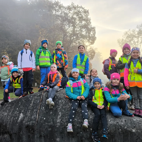 Eine Gruppe von Kindern in Sicherheitswesten und Mützen steht und sitzt auf einem Felsen, möglicherweise auf einer Exkursion. Einige lächeln und posieren für ein Foto. Hinter ihnen sind Bäume und ein verschwommener Hintergrund.