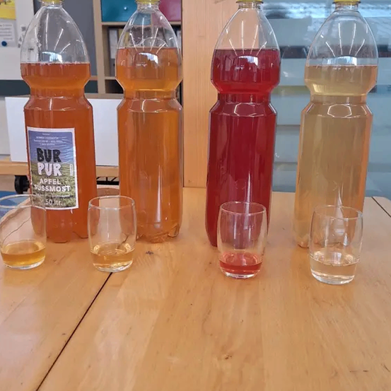 Vier Plastikflaschen mit gelben Deckeln, jede mit einer anderen farbigen Flüssigkeit gefüllt, stehen auf einem Holztisch mit Gläsern davor.