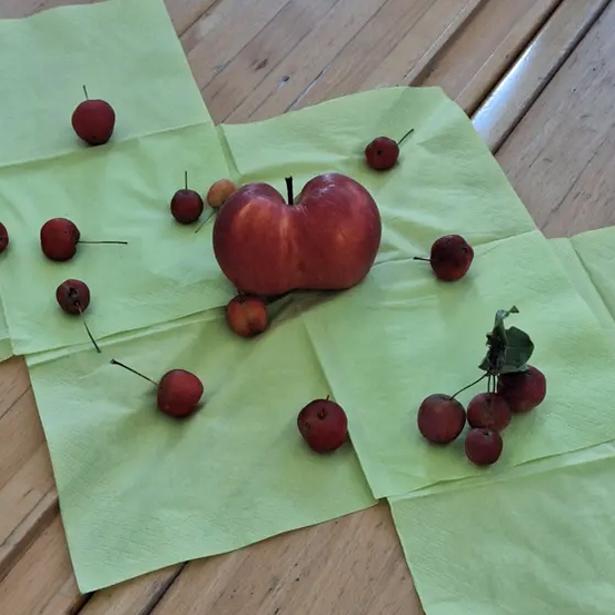 Ein Apfel und mehrere kleine Früchte sind auf grünem Papier auf einer Holzoberfläche angeordnet. Der Apfel ist größer, mit einem roten Farbton, und die Früchte sind rot, rund und klein.