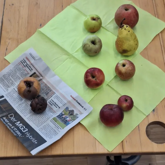 Ein Holztisch mit gelbem Papier hat eine Mischung aus Äpfeln und Birnen darauf. Die Äpfel sind rot und grün, und die Birnen sind gelb. Einige Äpfel liegen auf einer Zeitung.