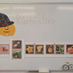 Eine Tafel zeigt eine Kürbis-Karikatur mit Hut. Darunter befinden sich Bilder, die die Wachstumsphasen eines Kürbisses zeigen, vom Sämling bis zum reifen Kürbis.