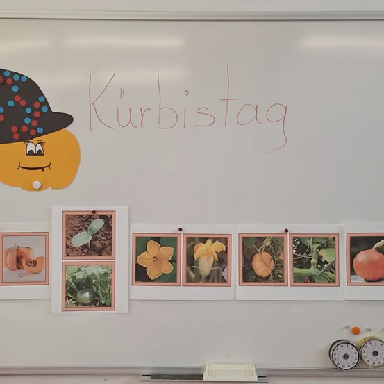 Eine Tafel zeigt eine Kürbis-Karikatur mit Hut. Darunter befinden sich Bilder, die die Wachstumsphasen eines Kürbisses zeigen, vom Sämling bis zum reifen Kürbis.