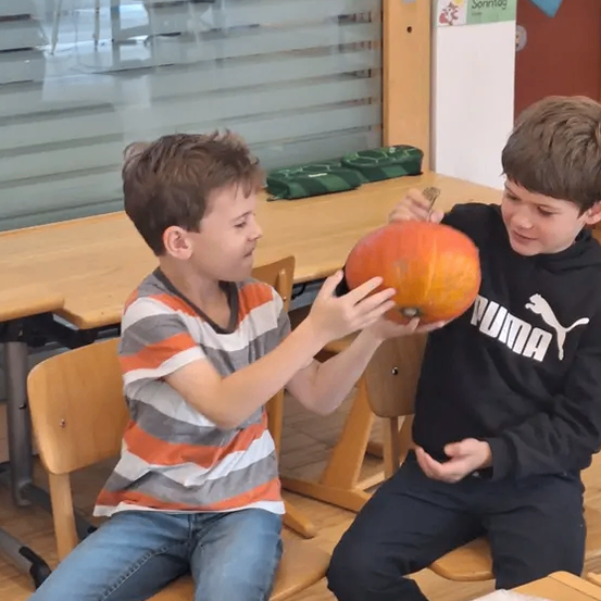 Zwei Jungen in einem Klassenzimmer spielen mit einer Kürbis. Ein Junge hält die Kürbis, während der andere sie untersucht. Sie sitzen auf Stühlen in der Nähe eines Tisches mit einer Tür dahinter.