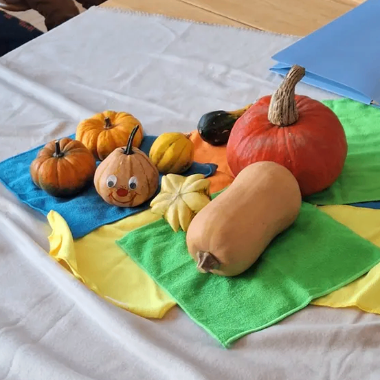 Ein Tisch mit verschiedenen Gemüsesorten wie Kürbissen, Zucchini und Gourden auf farbigen Tüchern.