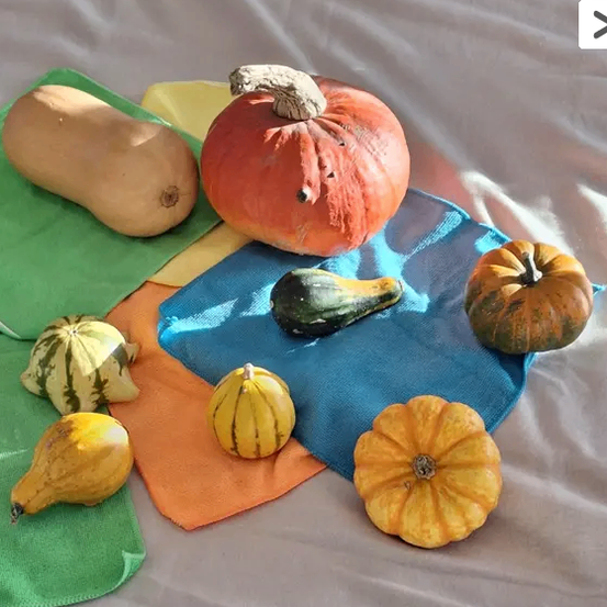 Verschiedene Kürbisse und Zucchini auf einem Bett mit unterschiedlich gefärbten Tüchern darunter. Der größte ist orange.