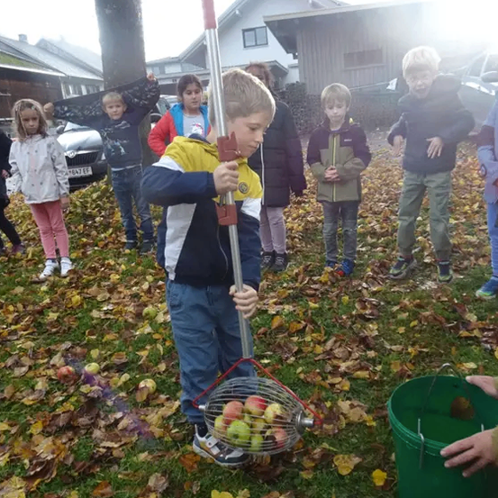 Ein junger Junge pflückt Äpfel von einem Baum mit einem roten Apfelpflücker. Dahinter beobachten Kinder und Erwachsene. Laub bedeckt den Rasen, und ein grüner Eimer steht in der Nähe.