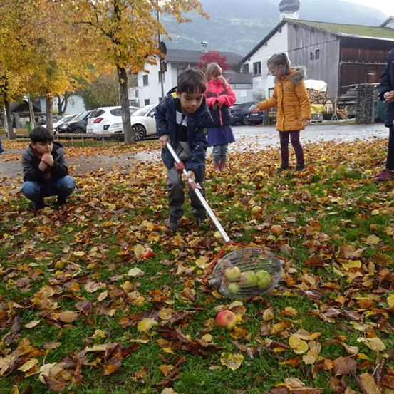 Kinder pflücken Äpfel vom Boden, ein Junge benutzt einen Stock, um nach Äpfeln zu greifen. Dahinter stehen Häuser und Autos.