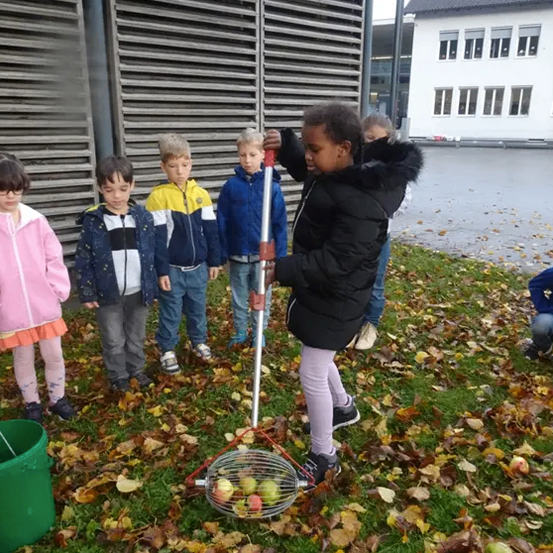 Eine Gruppe von Kindern pflückt Apfel von einem Baum im Hof. Ein Kind benutzt ein Werkzeug, um die Äpfel zu erreichen.