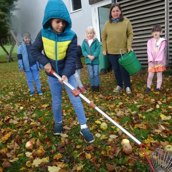Ein Kind verwendet einen Rechen, um Äpfel auf einem Grasfeld zu sammeln, während eine Frau einen grünen Eimer hält, und andere Kinder und Erwachsene in der Nähe sind.
