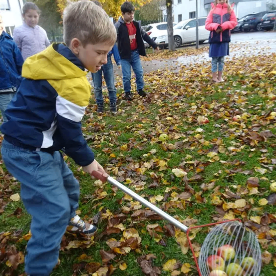 Ein junger Junge benutzt einen Metall-Apfelpflücker, um Äpfel in einem Grasbereich zu sammeln. Hinter ihm stehen andere Kinder. Am Straßenrand sind Autos geparkt.
