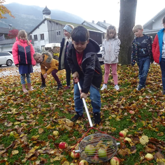 Kinder in Jacken und Stiefeln sammeln sich um einen Baum und pflücken Äpfel vom Boden. Ein Kind benutzt einen Korb, um Äpfel zu sammeln.