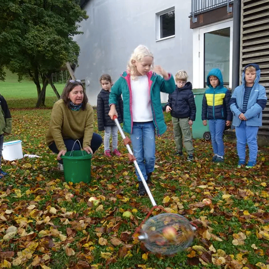 Eine Gruppe von Kindern pflückt in einem Hof Äpfel mit einer Dame und einem grünen Eimer.