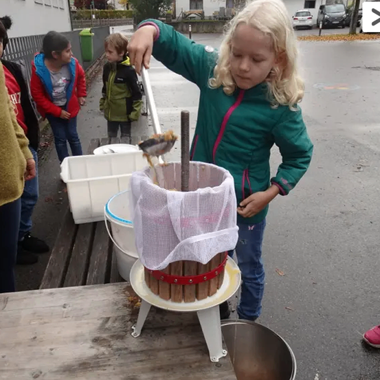 Ein Mädchen in einer grünen Jacke presst Trauben in einen Korb draußen. Hinter ihr beobachten andere Kinder. Ein Eimer sammelt den Saft.