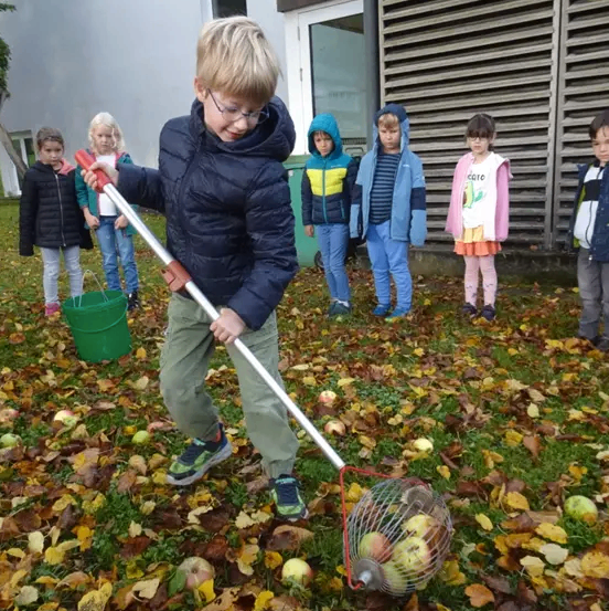 Ein junger Junge benutzt einen langen Apfelpflücker, um Äpfel auf einem Rasenfeld zu sammeln, während mehrere Kinder zuschauen.