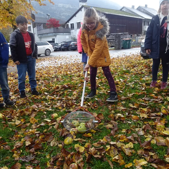 Eine Gruppe von Kindern pflückt Apfel von der Erde. Das Mädchen im orangefarbenen Mantel benutzt einen Rechen. Andere Kinder beobachten.