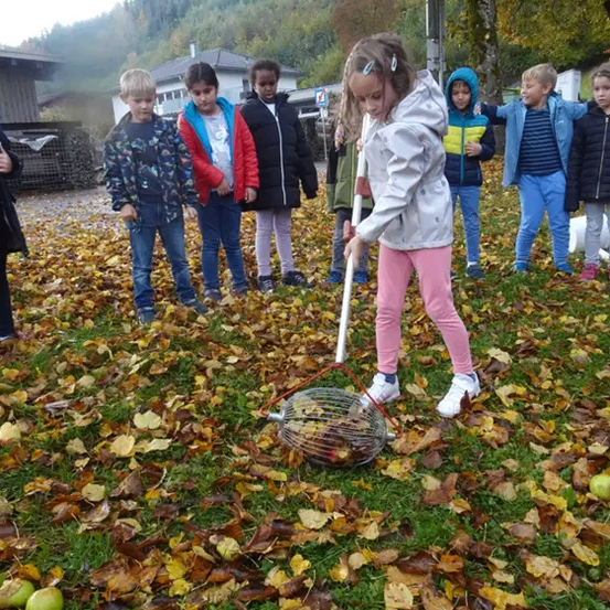 Kinder sammeln gefallene Blätter mit einem Werkzeug auf einem Rasen, umgeben von Bäumen und einem Haus.