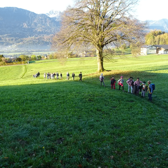 Eine Gruppe von Menschen auf einem Feld mit Bergen im Hintergrund. Einige tragen Rucksäcke. Ein großer Baum steht im Vordergrund.