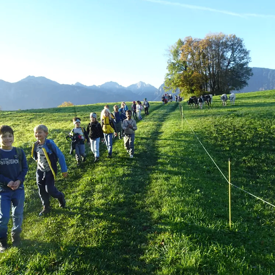 Eine Gruppe von Kindern geht auf einem Rasenfeld, mit Bergen und Kühen im Hintergrund. Sie tragen Jacken und haben Rucksäcke.
