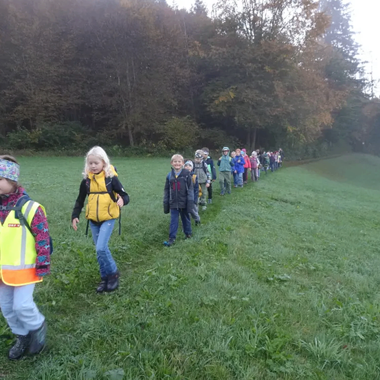Eine Gruppe von Kindern in Sicherheitswesten und Jacken geht in einer Reihe über eine Grasfläche, mit Bäumen im Hintergrund.