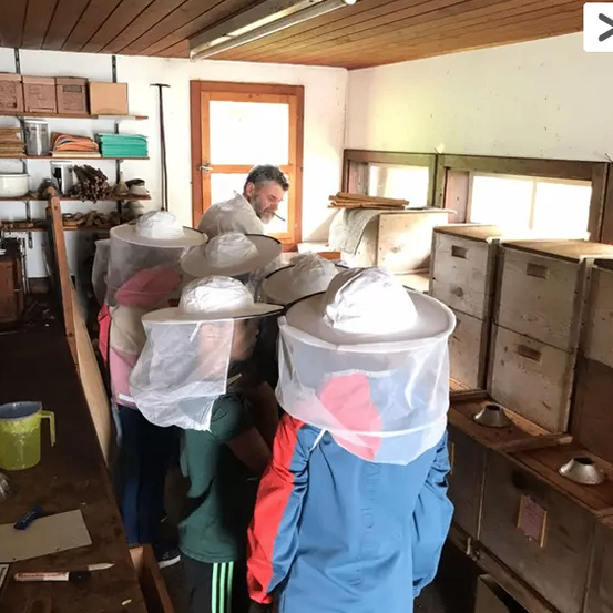 Eine Gruppe von Menschen, wahrscheinlich Schüler, befindet sich in einem Raum mit Holzwänden und -böden. Sie tragen Imkeranzüge und beobachten etwas. Der Raum hat Holzschränke, Regale und eine Lampe. Es gibt einen Tisch mit einem grünen Eimer und einem Stift. Ein Mann steht in der Nähe der Tür, wahrscheinlich ein Lehrer.