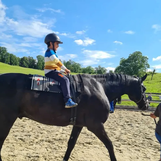 Ein junges Kind reitet auf einem schwarzen Pferd in einem Außenbereich und trägt einen Helm und Turnschuhe. Das Pferd geht auf einer sandigen Oberfläche.
