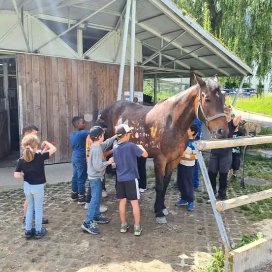 Kinder malen ein Pferd mit bunten Designs in einem Stall, während Erwachsene beaufsichtigen.
