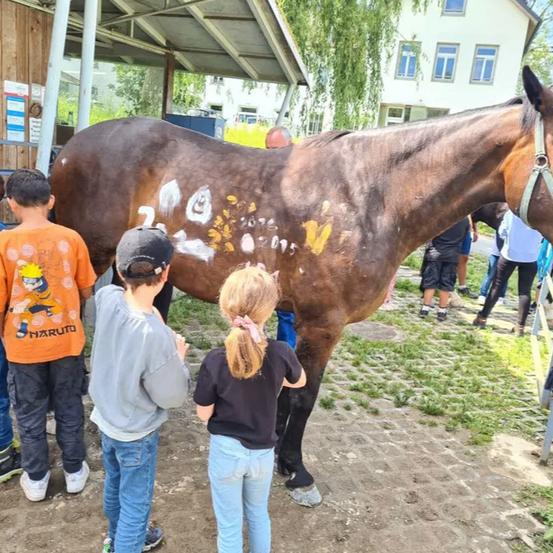 Ein braunes Pferd mit weißen Markierungen steht in einem Außenbereich, umgeben von mehreren Menschen, darunter drei Kinder.