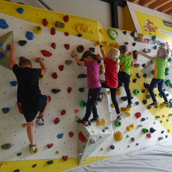 Fünf Kinder klettern an einer bunten Kletterwand mit verschiedenen farbigen Griffen und Haltepunkten. Sie tragen Turnschuhe und verschiedene farbige Shirts. Die Wand ist in Abschnitte mit unterschiedlichen Farben und Texturen unterteilt.