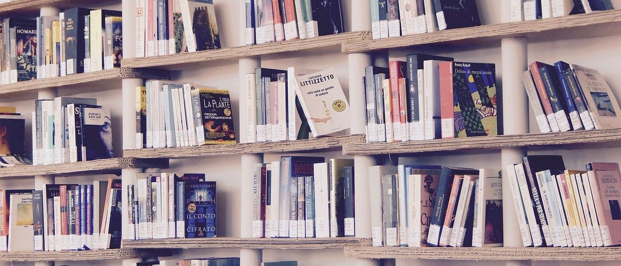 Ein Bücherregal mit verschiedenen Büchern auf Holzregalen. Verschiedene Genres sind sichtbar, wie Krimi, Romanze und Literatur.
