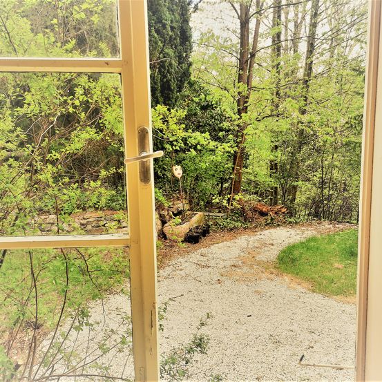 Ein Blick aus einem Haus zeigt einen Kiesweg, der in einen üppigen grünen Wald führt, mit einem kleinen Garten rechts.