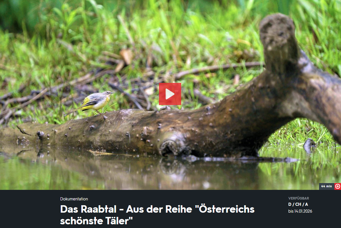 Screenshot2025-12-18135434