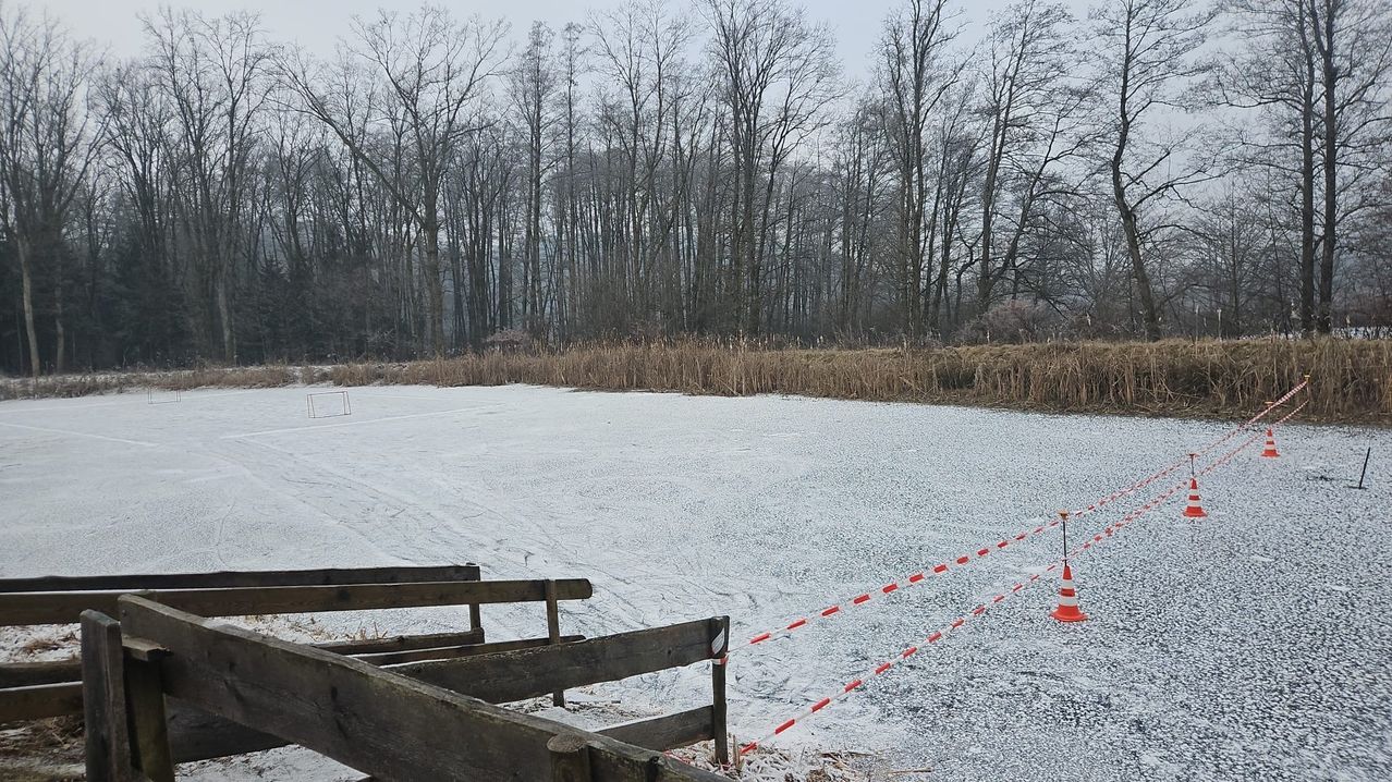 Ein zugefrorener See, umgeben von einem Holzzaun und einer Reihe orangefarbener Verkehrskegel, mit einer Reihe von Bäumen im Hintergrund unter einem bewölkten Himmel.
