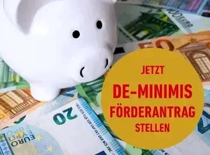 Eine weiße Spardose liegt auf einem Haufen Euro-Banknoten mit den Worten 'JETZT DE-MINIS FÖRDERANTRAG STELLEN' in Rot. Die Euro-Banknoten umfassen die Stückelungen von 5, 10 und 20 Euro.
