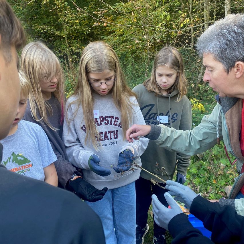 Eine Gruppe von Schülern, die Handschuhe tragen, untersucht Pflanzen mit einem Erwachsenen in einem Wald.
