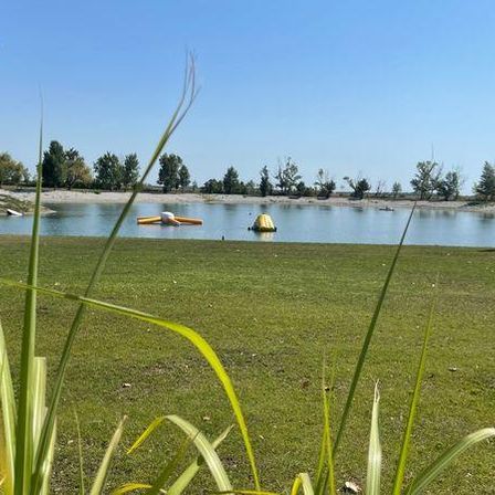 Eine Person geht an einem sonnigen Tag in der Nähe eines Sees mit schwimmenden Spielzeugen, umgeben von Gras und Bäumen.