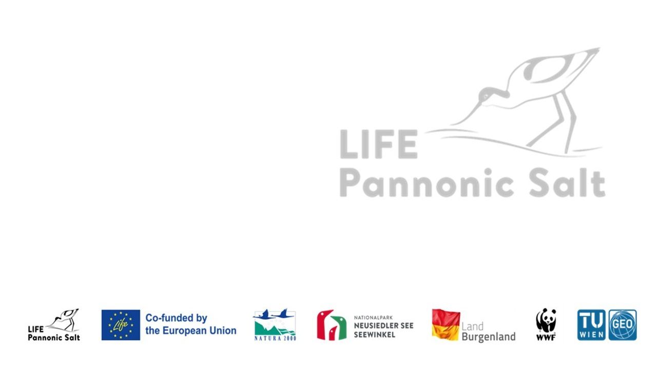 Das LIFE Pannonic Logo wird mit einem Vogelbild auf weißem Hintergrund angezeigt. Unter dem Logo sind Logos verschiedener Organisationen zu sehen, darunter Nationalpark Neusiedler See Seewinkel, Naturpark und Land Burgenland. Das Logo der Europäischen Union ist ebenfalls vorhanden.