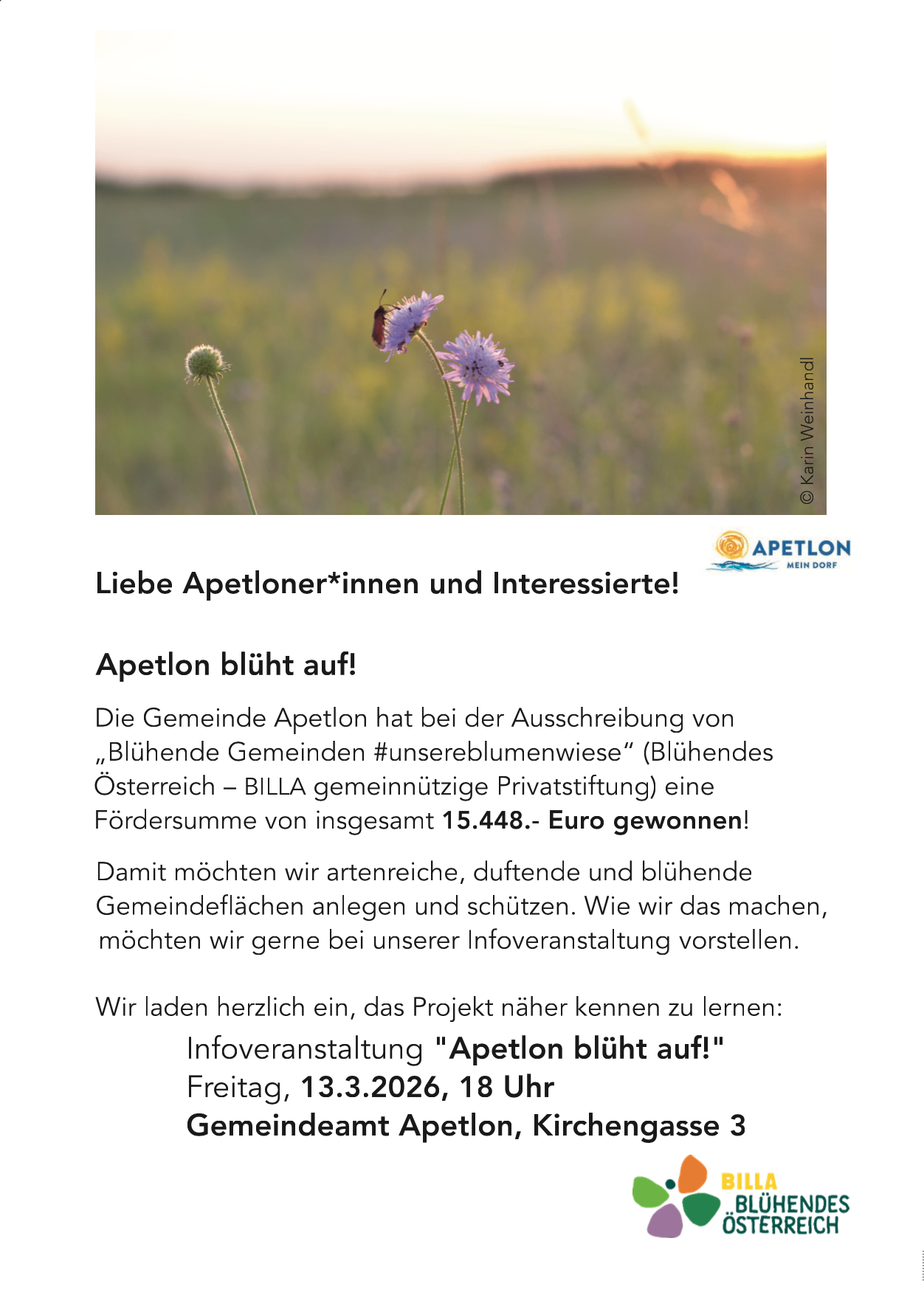 Ein Blumenfeld mit einem Schmetterling, Text: "Liebe Apetloner*innen und Interessierte!" Veranstaltungsankündigung für "Apetlon blüht auf!" am Freitag, 13.3.2026, um 18 Uhr.