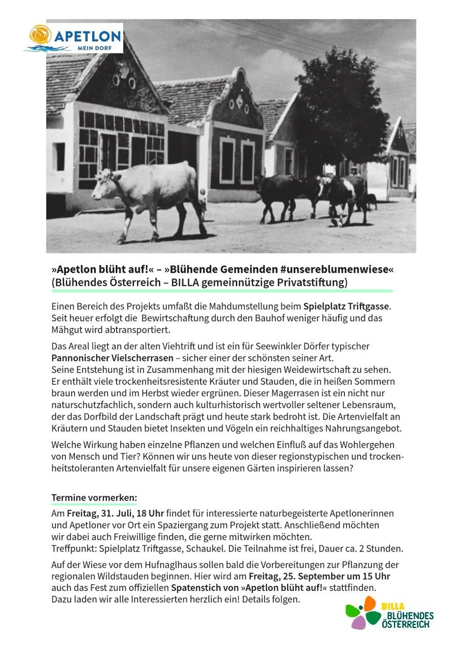 Ein Schwarz-Weiß-Bild zeigt eine Kuh, die vor einem Haus mit einem Kind in der Nähe geht. Das Haus hat mehrere Fenster und eine Tür, und davor steht ein Baum. Das Bild enthält auch Text auf Deutsch.