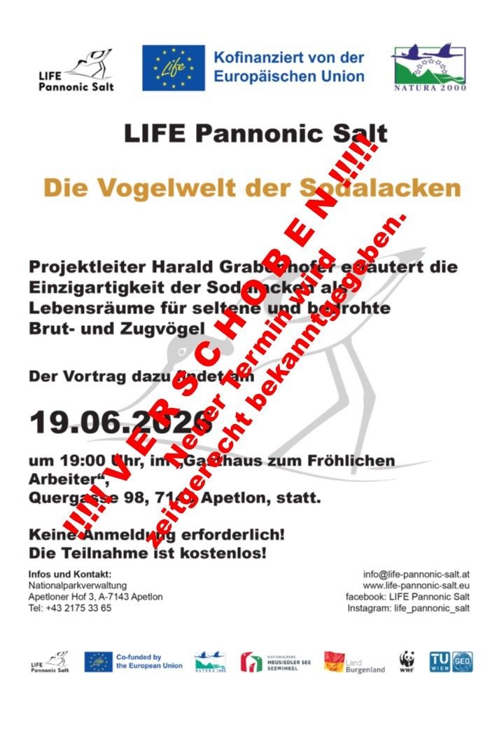 Plakat für eine Veranstaltung von LIFE Pannonic Salt über die Vogelvielfalt der Sodaseen. Die Präsentation von Harald Grab bietet Einblicke in die einzigartigen Lebensräume für seltene und gefährdete Vogelarten. Datum: 19. Juni 2026, um 19 Uhr im Gasthaus zum Fröhlichen Arbeiter, Quergasse 98, 71142 Apetlon. Keine Anmeldung erforderlich. Die Teilnahme ist kostenlos.