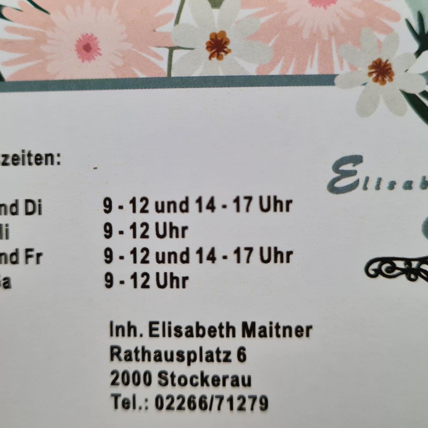 Ein weißer und rosafarbener Blumenhintergrund mit einem Dokument, das die Öffnungszeiten für Elisabeth und Di sowie Elisabeth Maitner zeigt. Elisabeth öffnet von 9-12 und 14-17. Elisabeth Maitner befindet sich am Rathausplatz 6, 2000 Stockerau, Tel.: 02266/71279.