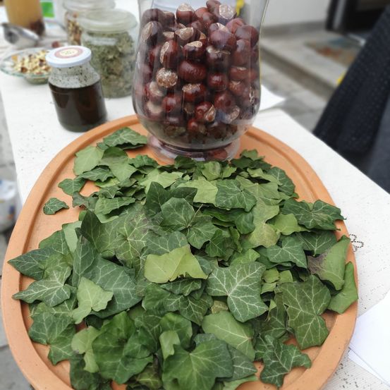 Bild enthält, Plate, Jar, Food, Food Presentation, Cilantro, Planter, Potted Plant, Pottery, Vase, Produce