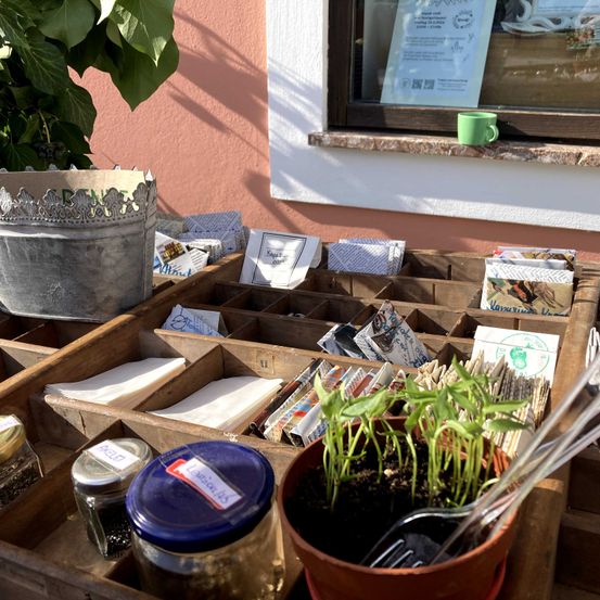 Bild enthält, Plant, Potted Plant, Jar, Planter, Pottery, Herbal, Herbs, Window, Windowsill, Interior Design