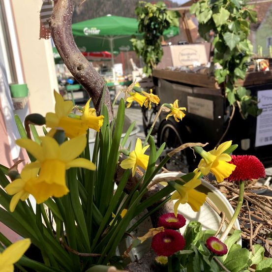 Bild enthält, Plant, Potted Plant, Flower, Petal, Flower Arrangement, Shelter, Planter, Flower Bouquet, Daffodil, Daisy